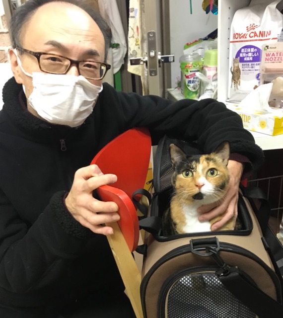 【卒業のご報告💓トイプードルのループちゃん💕＆三毛猫🐱のふぅちゃん💕】